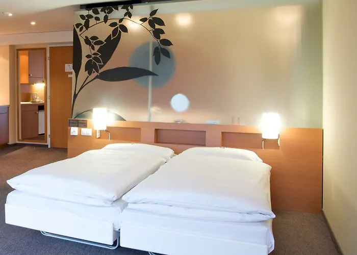 Alpha By Fassbind 洛桑